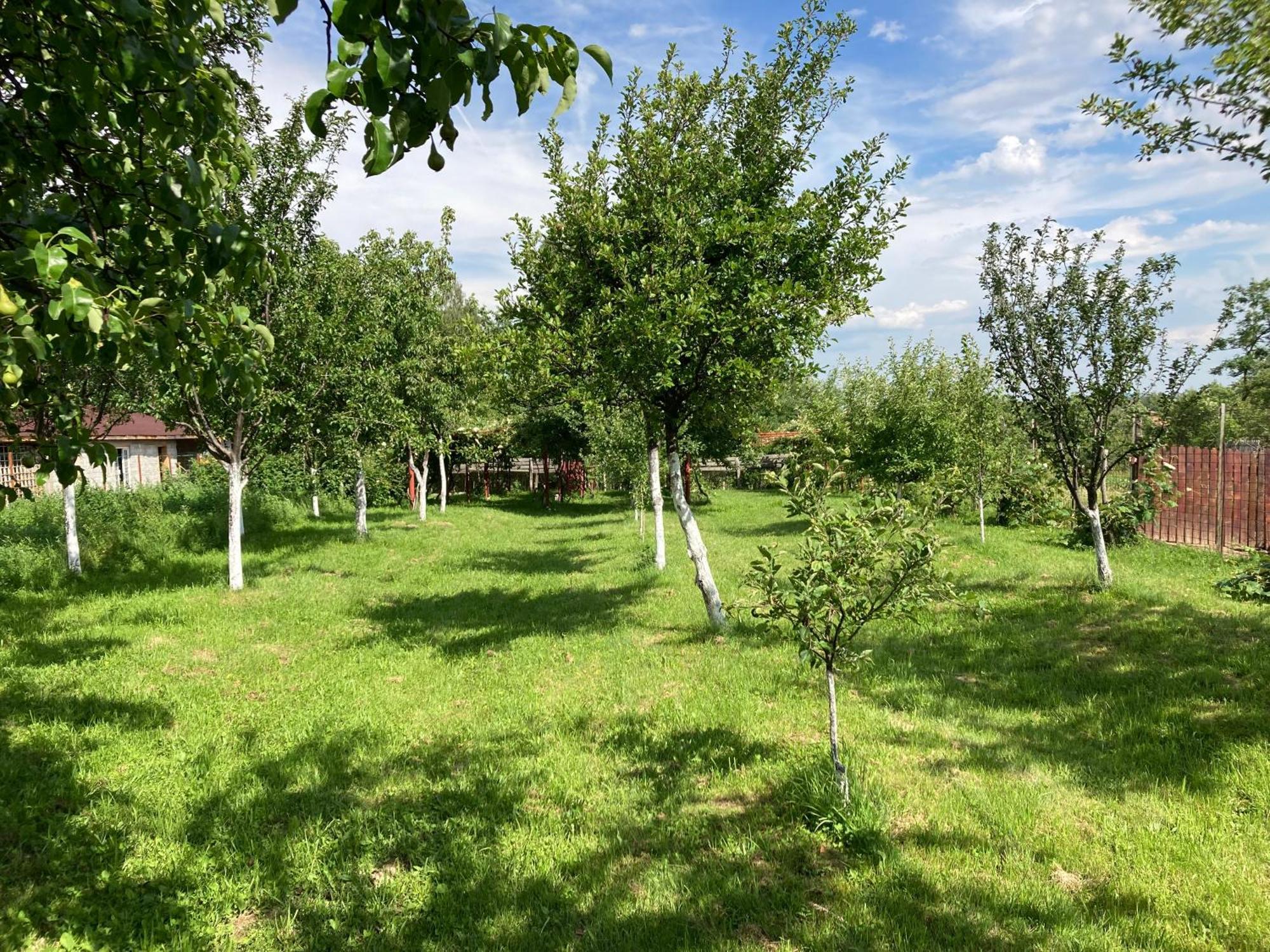 Pensiunea Casa Domnitei Baia de Fier Zewnętrze zdjęcie