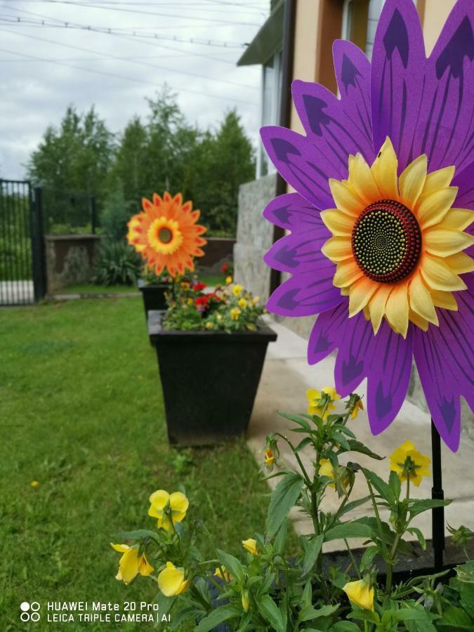 Pensiunea Casa Domnitei Baia de Fier Zewnętrze zdjęcie