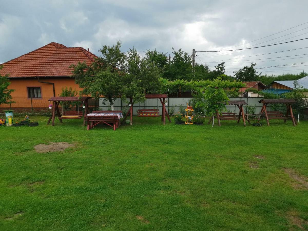 Pensiunea Casa Domnitei Baia de Fier Zewnętrze zdjęcie