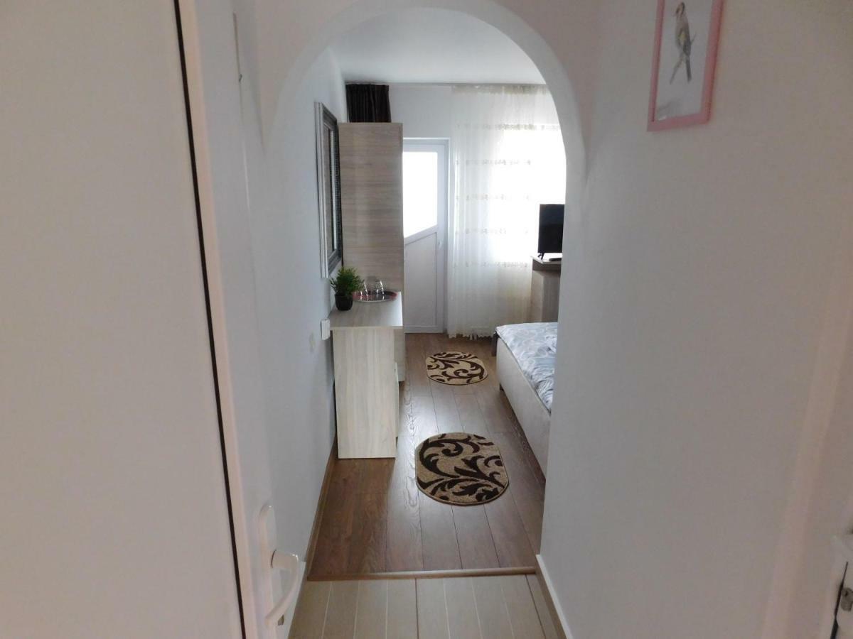 Pensiunea Casa Domnitei Baia de Fier Zewnętrze zdjęcie