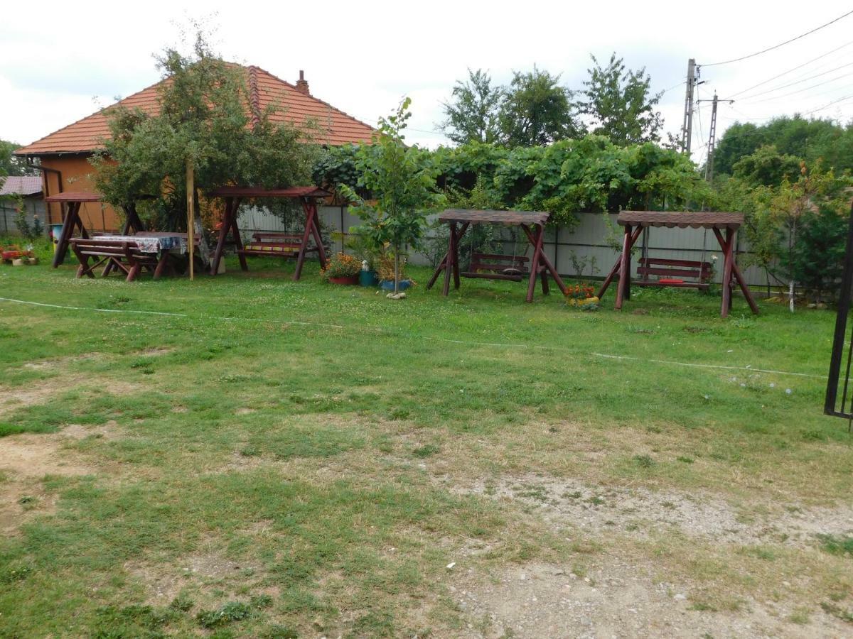 Pensiunea Casa Domnitei Baia de Fier Zewnętrze zdjęcie