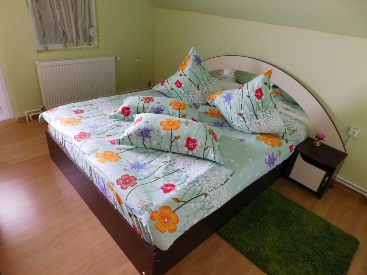 Pensiunea Casa Domnitei Baia de Fier Zewnętrze zdjęcie