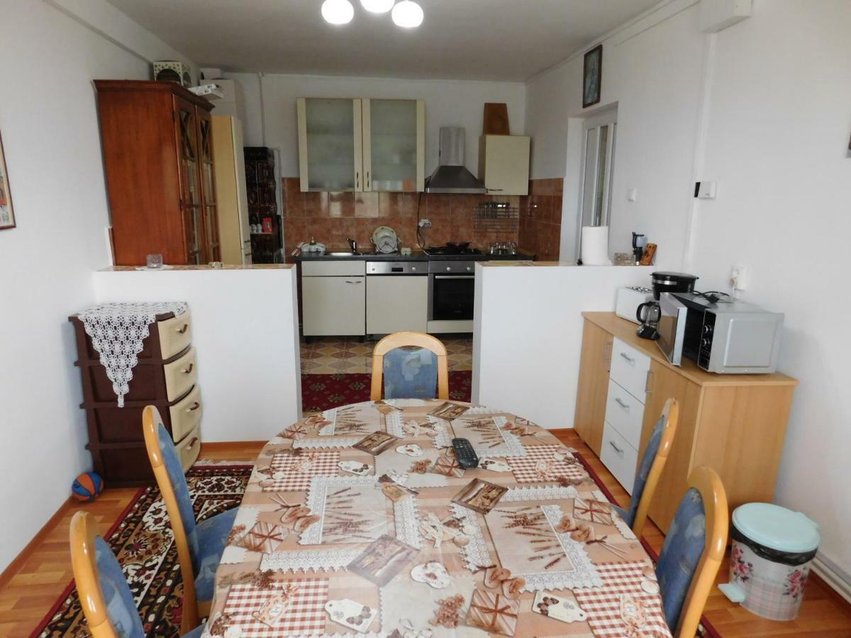 Pensiunea Casa Domnitei Baia de Fier Zewnętrze zdjęcie